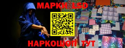 стафф Камышлов