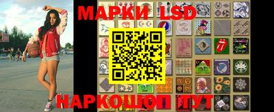 стафф Камышлов