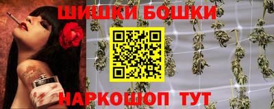 стафф Камышлов