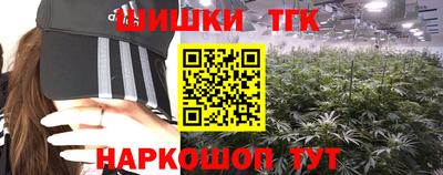 стафф Камышлов