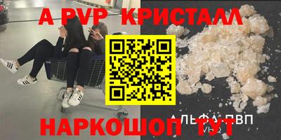 стафф Камышлов