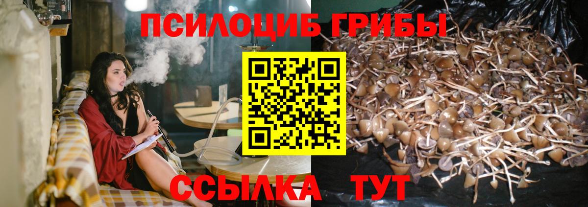 Чехов  Псилоцибиновые грибы Psilocybe  Вход с VPN  Псилоцибиновые грибы ЛСД 