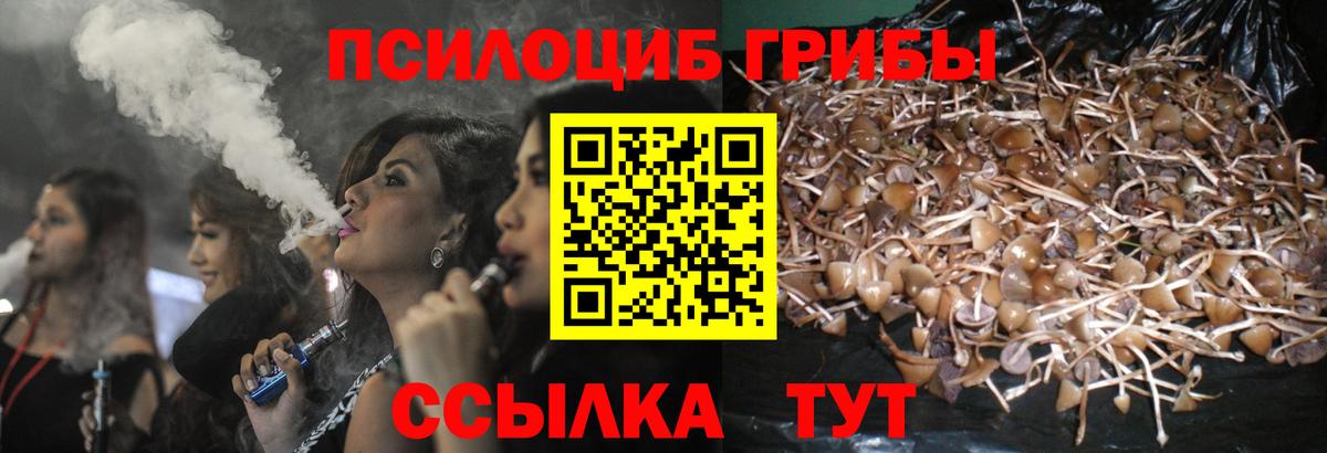 Галлюциногенные грибы MAGIC MUSHROOMS Чехов